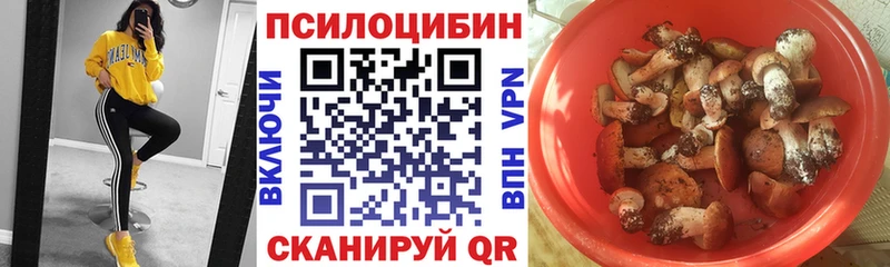Галлюциногенные грибы Magic Shrooms  Верея 